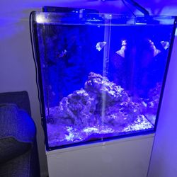 24 GALLON AQUATOP SALTWATER AQUARIUM 