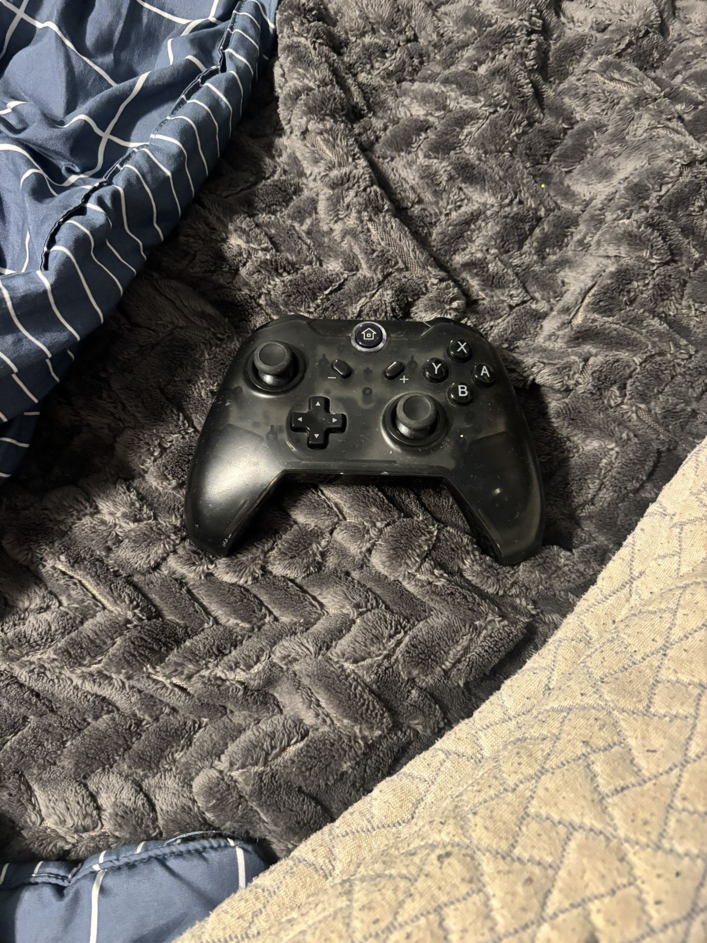 Nintendo Switch Controller