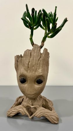 Groot jade plant