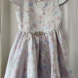 Disney Princess Dress 