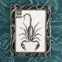 Original Scorpion Pen and Ink Drawing - Signed Jonathan Petrilla Nov 2025  6.5" x 8.5"
