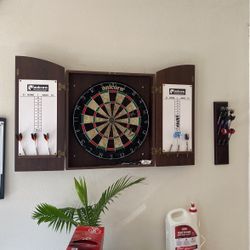 Dart Board With Top Quality Darts 