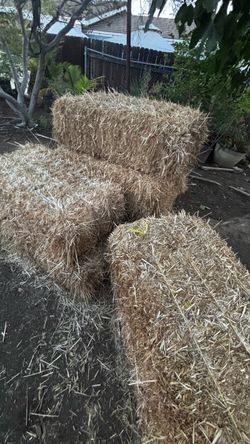 Straw bale/ pajas/7 for 40