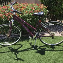 Schwinn Bike