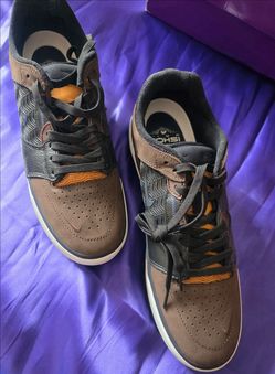 Nike SB Low-Top Skate Sneakers