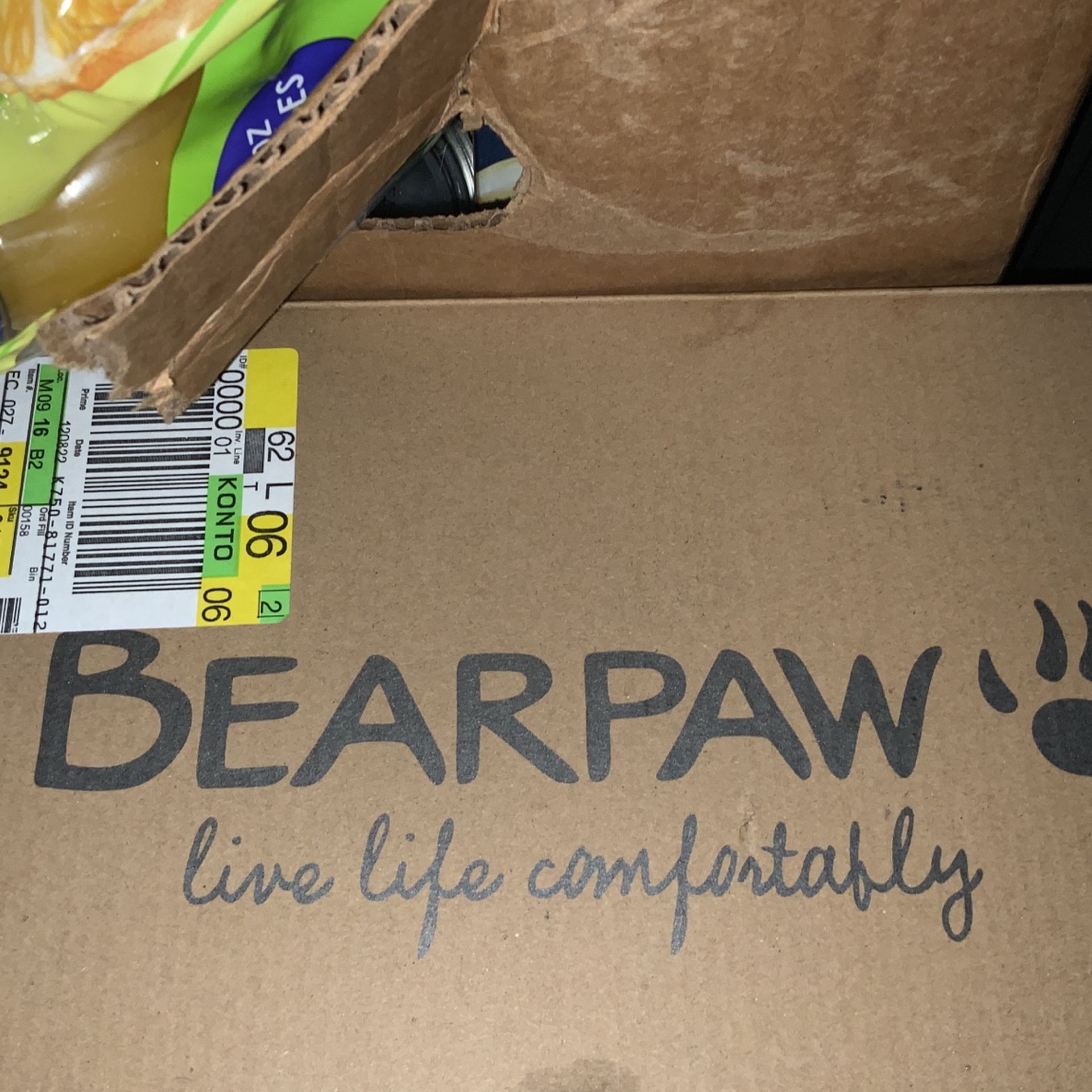 Bear Paws