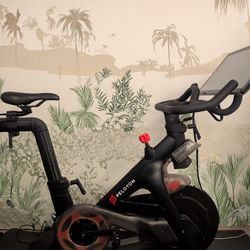Peloton Bike 
