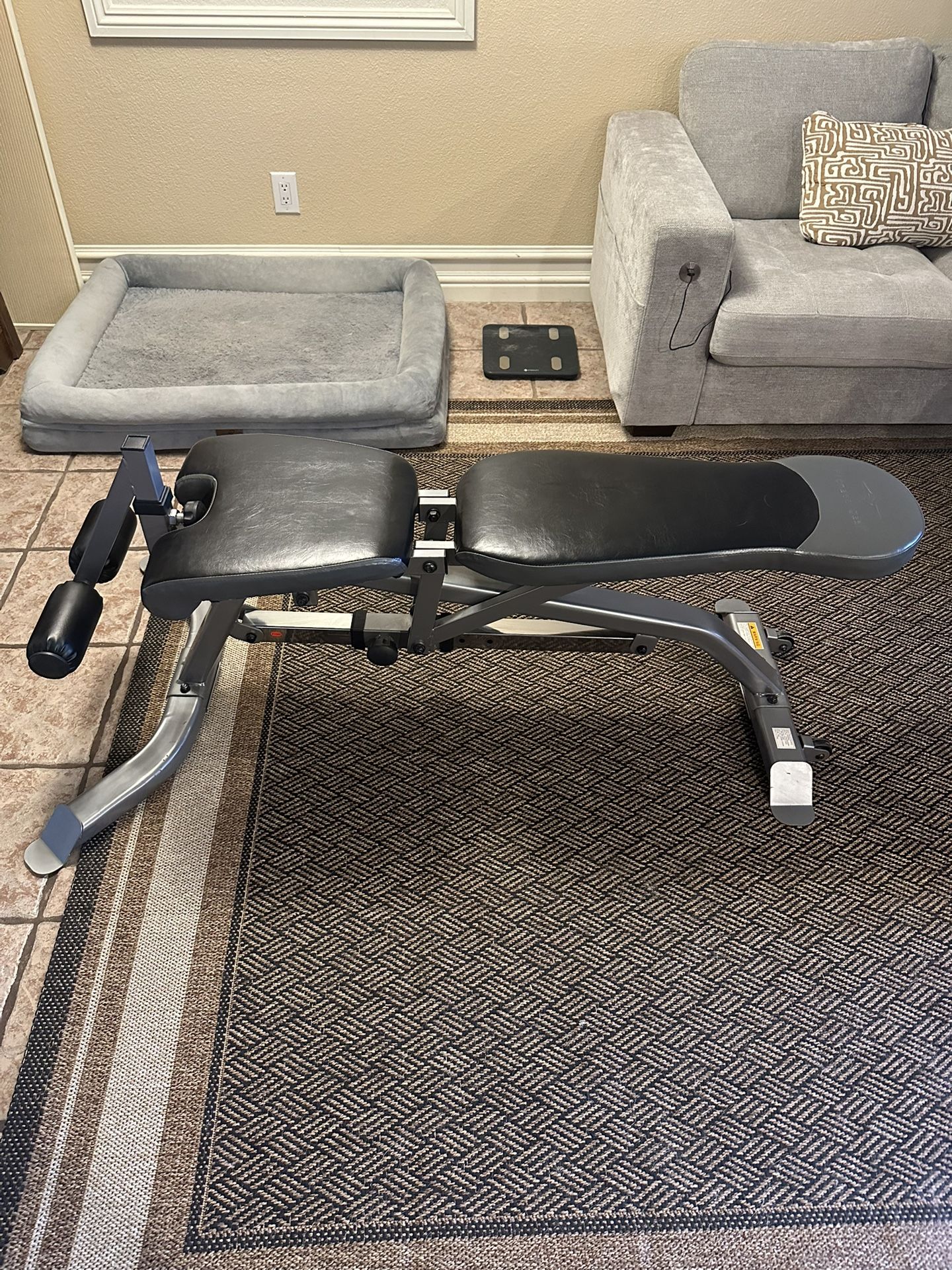 Fitness Gear Brand Weight Bench