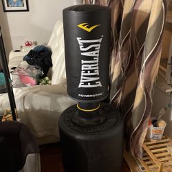 Everlast Punching Bag