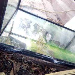 37 Gallon Fish Tank With Pump And Supplies $30mpu