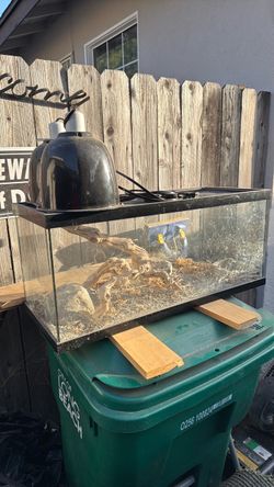 Reptile Tank
