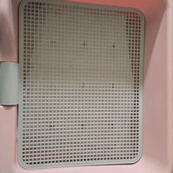New Bougie PINK Puppy Potty 