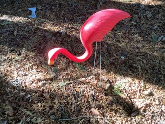12 Pink Flamingos