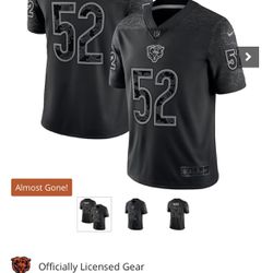 OFFICIAL NFL Chicago Bears Nike Reflective Limited Jersey