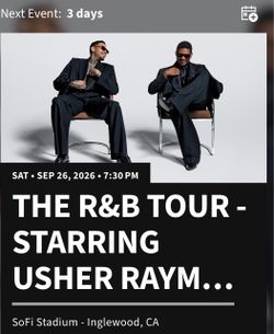 R&B Tour Chris Brown & Usher SoFi Concert.