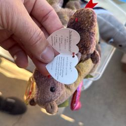 Rare Beanie Babies With Errors