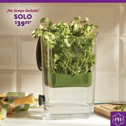 Princess House Recipiente De Cilantro 