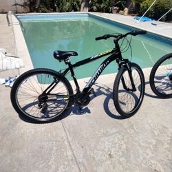 Schwinn Bike