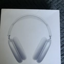 Air Pod Max Silver Adjustable Sizes