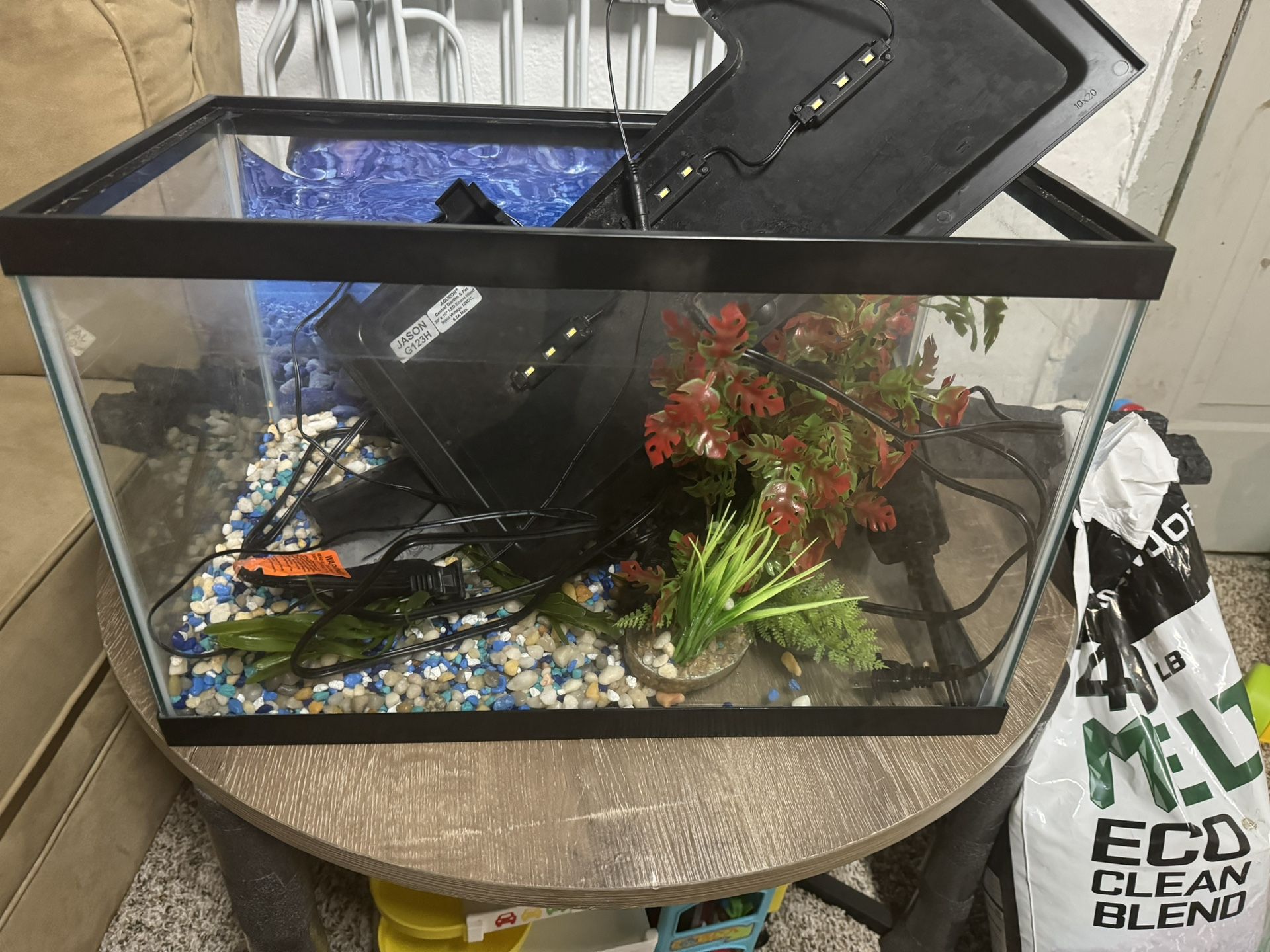 Fish Tank And Everything You Need