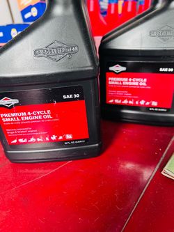 Briggs & Stratton