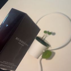 Burberry Fragrance Mens 