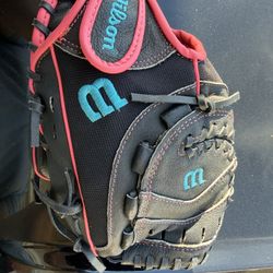 Softball Glove