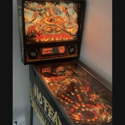 Ted Williams NO FEAR 