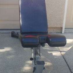 Bowflex Adjustable Bench