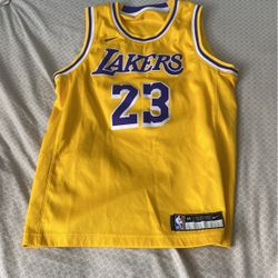 LeBron James Lakers Jersey 20$