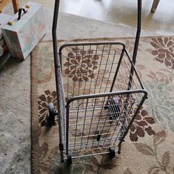 Smaller Size Shopping Cart Pickup Only Cash 