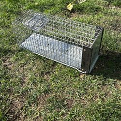 Rat Trap Free 
