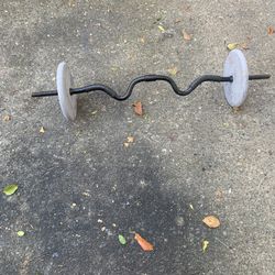 Curl Bar With Weights