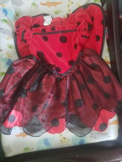 Lady Bug Halloween Costume