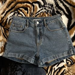 Womens Pacsun Jean Shorts (SIZE 25)