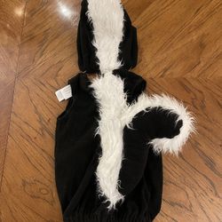 12-24 Month Like New Pottery Barn Kids Skunk Costume