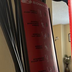 Bowflex Work Out Machine 