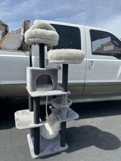 Cat Tower 