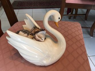 White Swan with Shells
