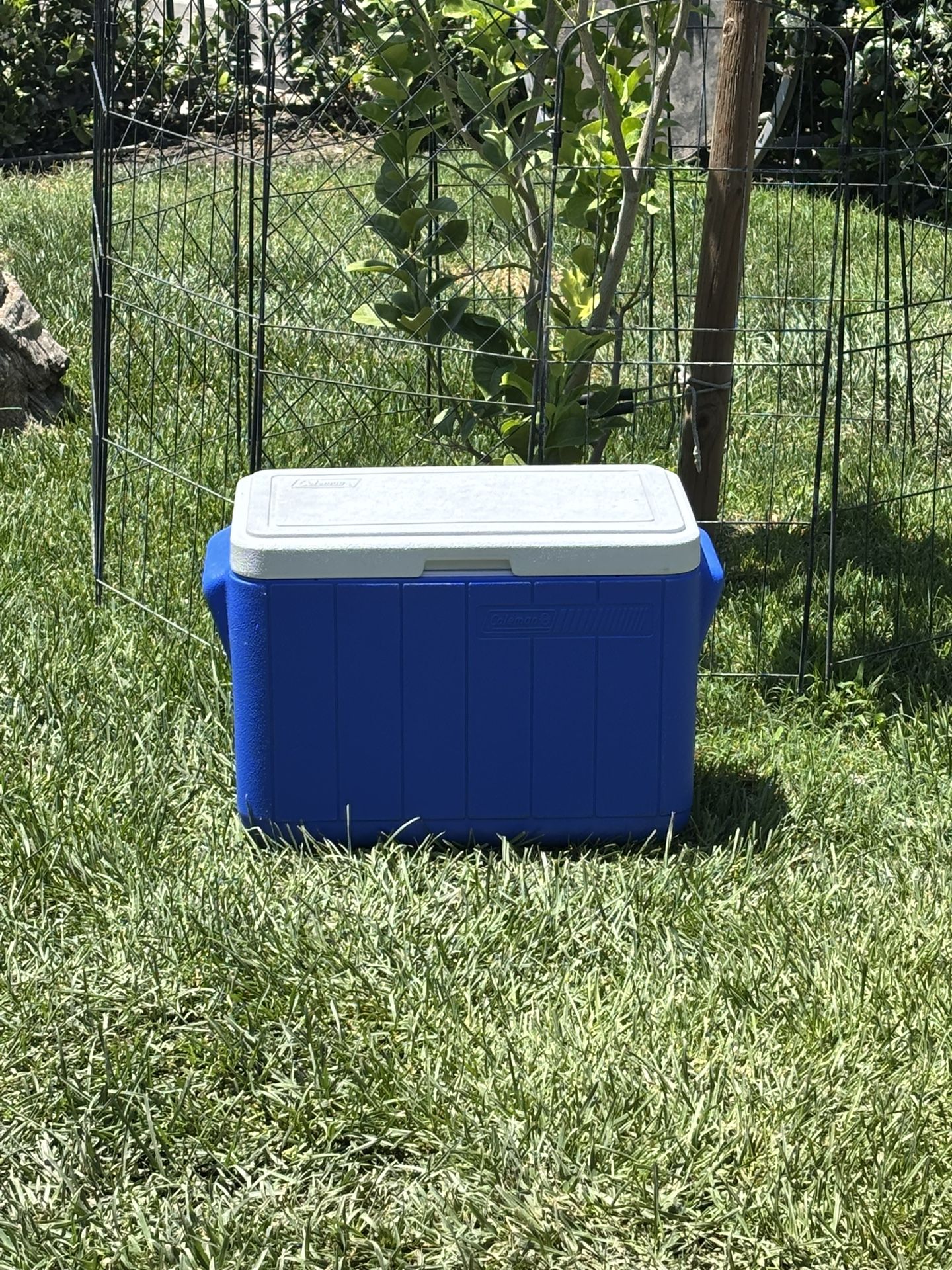 COLEMAN,ICE CHEST,COOLER
