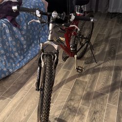 Mountain Bike 