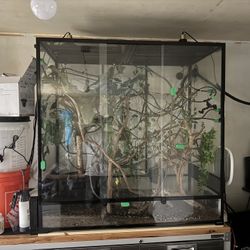 48x24x48 Chameleon Tank 
