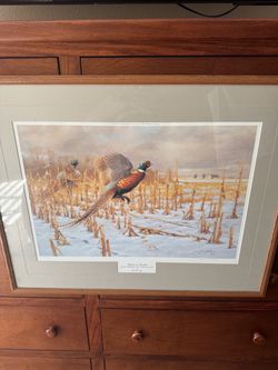 Framed Pheasant Wildlife Art Print
