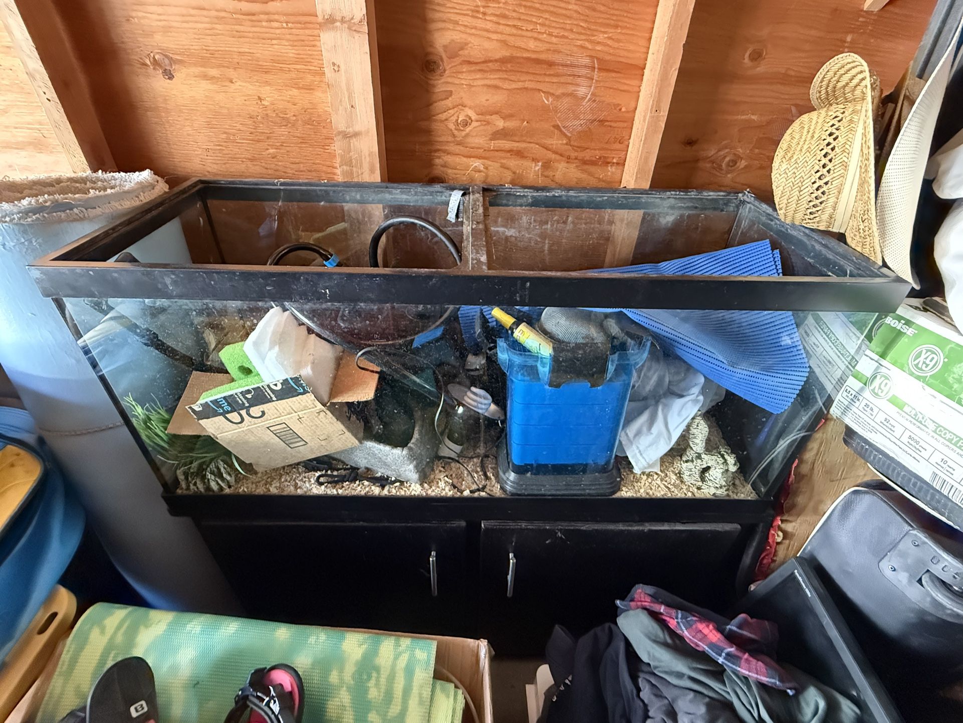 Fish, Tank, Amphibian Box.