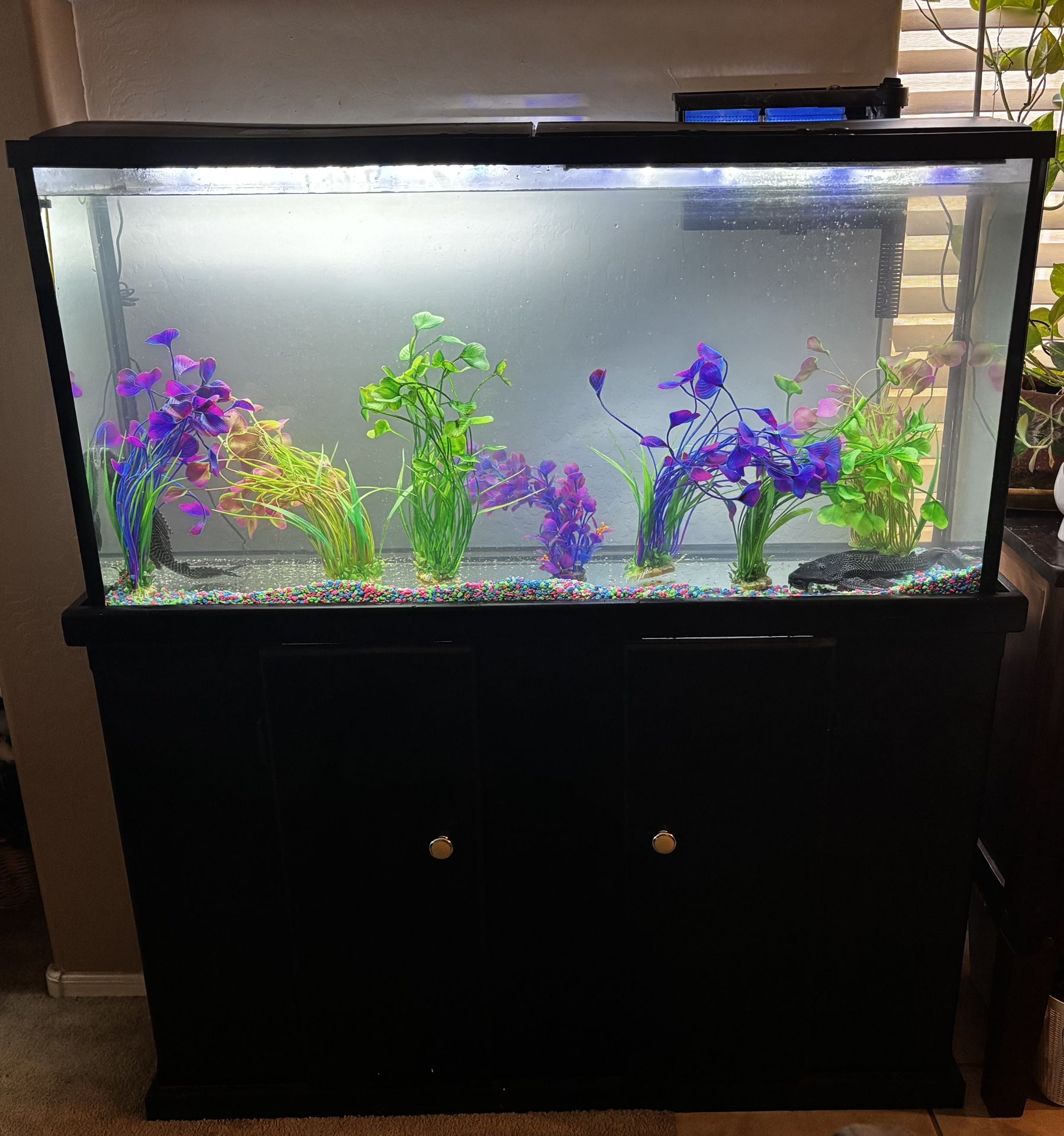 Aquarium
