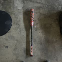 Demarion Baseball Bat
