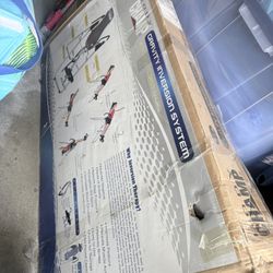 Body Champ Gravity Inversion