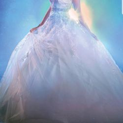 DISNEY wedding dress