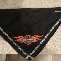 Used Harley-Davidson 