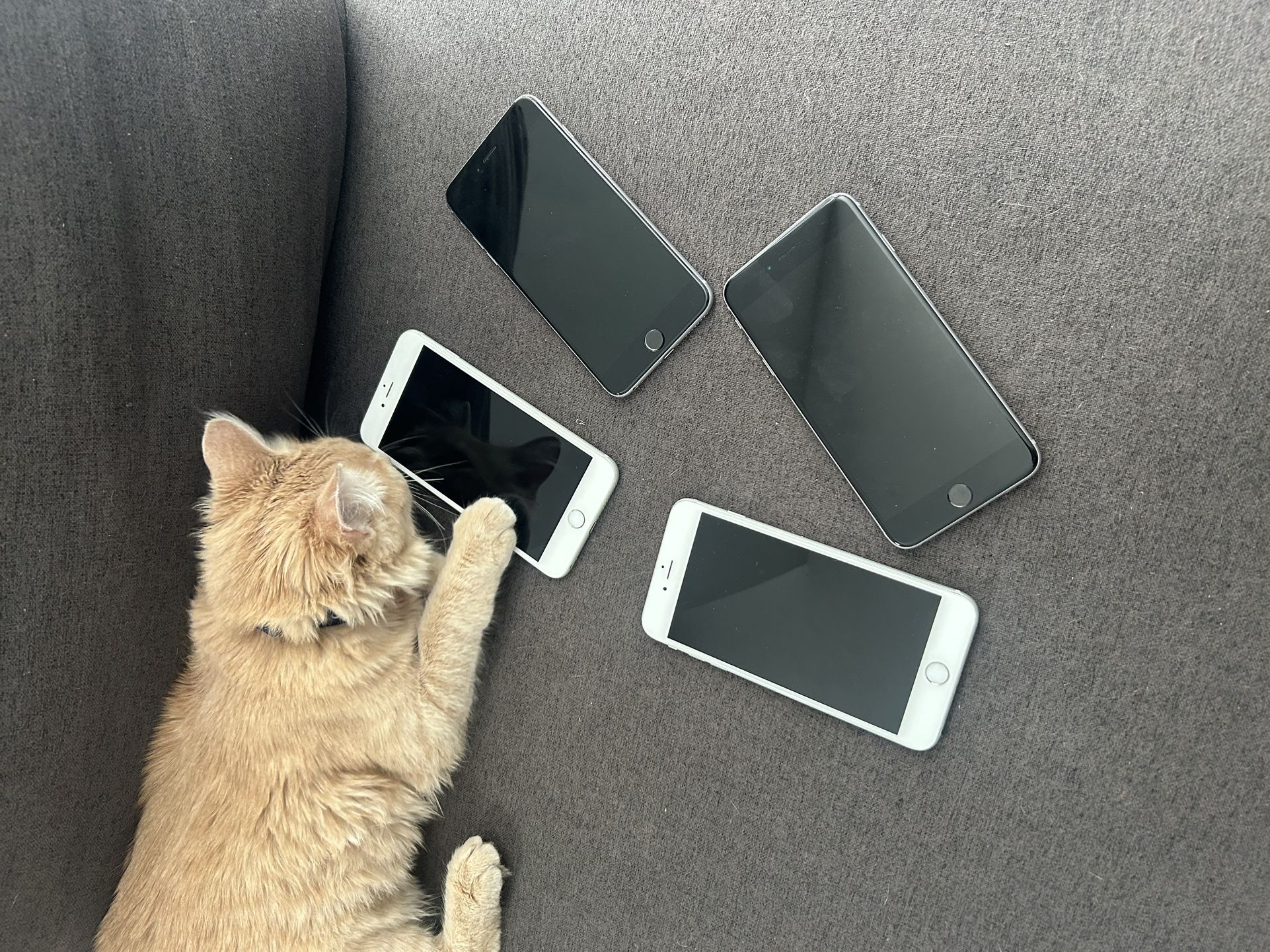 4 iPhone 6 Plus Phones For AT&T